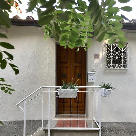 Villa Rustico Rosmarino à Castiglion Fiorentino Extérieur photo